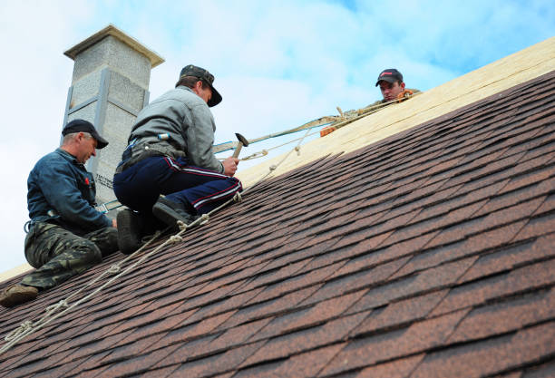 Reliable Farmville, NC Roofing Contractor Solutions